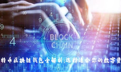 以太坊与比特币区块链钱包全解析:选择适合你的数字资产存储方案