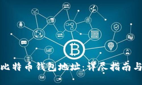 如何查看比特币钱包地址:详尽指南与实用技巧