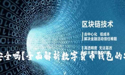 网上比特币钱包安全吗？全面解析数字货币钱包的安全性与防护措施