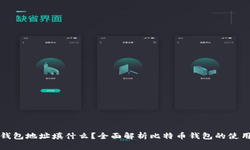 比特币钱包地址填什么？全面解析比特币钱包的使用与安全
