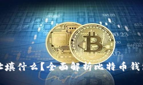 比特币钱包地址填什么？全面解析比特币钱包的使用与安全