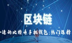 如何选择最合适的比特币手机钱包:热门选择与