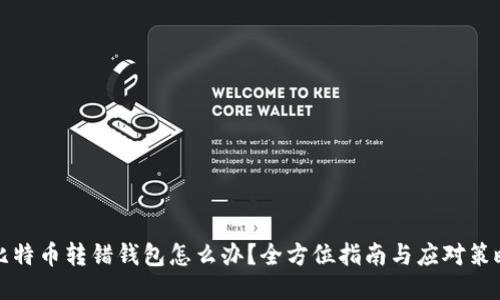 比特币转错钱包怎么办?全方位指南与应对策略