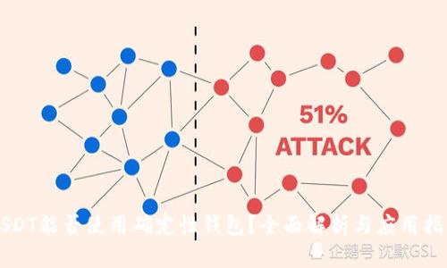 USDT能否使用确定性钱包?全面解析与应用指南