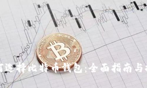 如何选择比特币钱包:全面指南与推荐
