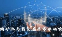 揭秘以太坊矿池与钱包在牛市中的实力与机遇