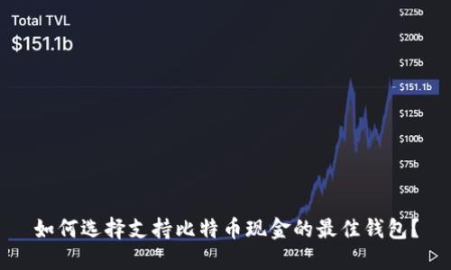 如何选择支持比特币现金的最佳钱包?