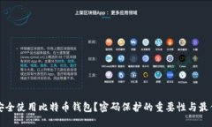 如何安全使用比特币钱包?密码保护的重要性与