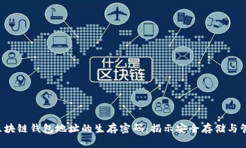 示例 区块链钱包地址的生存密码:揭示安全存储与管理策略