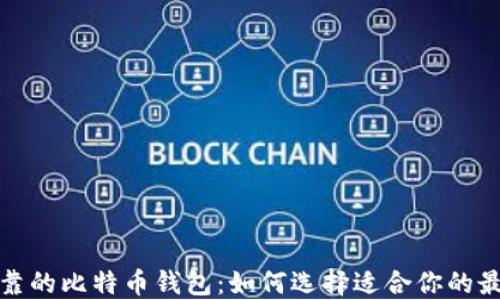 安全可靠的比特币钱包:如何选择适合你的最佳选项