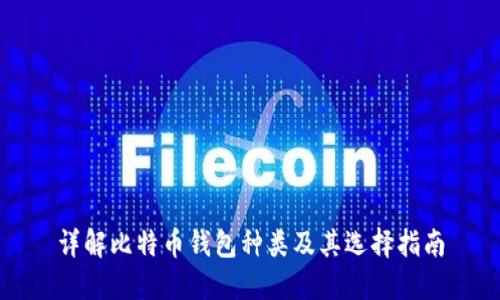 详解比特币钱包种类及其选择指南