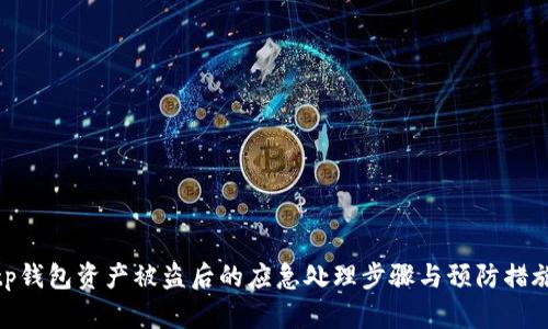 tp钱包资产被盗后的应急处理步骤与预防措施