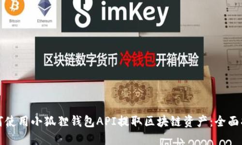 如何使用小狐狸钱包API提取区块链资产:全面指南