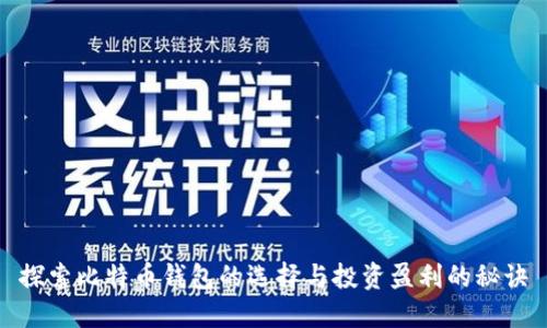 探索比特币钱包的选择与投资盈利的秘诀