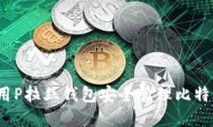如何使用P拉丝钱包安全管理比特币资产?