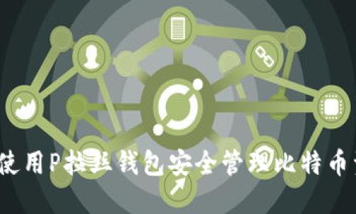 如何使用P拉丝钱包安全管理比特币资产?