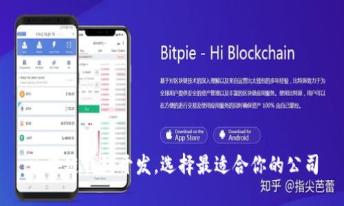区块链钱包开发,选择最适合你的公司