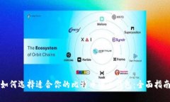 如何选择适合你的比特币电子钱包:全面指南