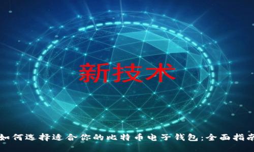如何选择适合你的比特币电子钱包:全面指南