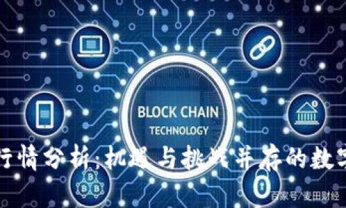 2023年TOP币行情分析:机遇与挑战并存的数字资产投资之路