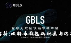 全面解析:比特币钱包的种类与选择指南
