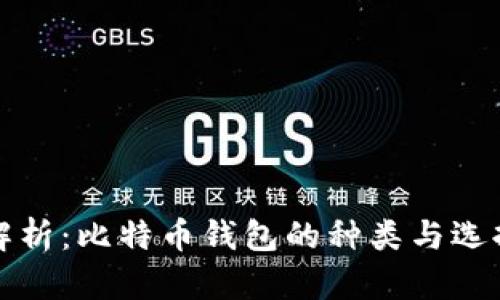 全面解析:比特币钱包的种类与选择指南