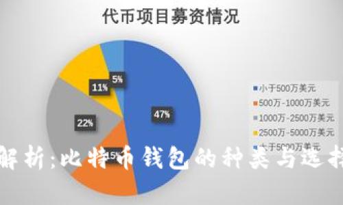全面解析:比特币钱包的种类与选择指南