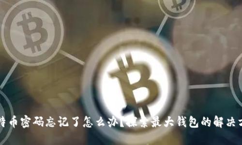 比特币密码忘记了怎么办?探索最大钱包的解决方案