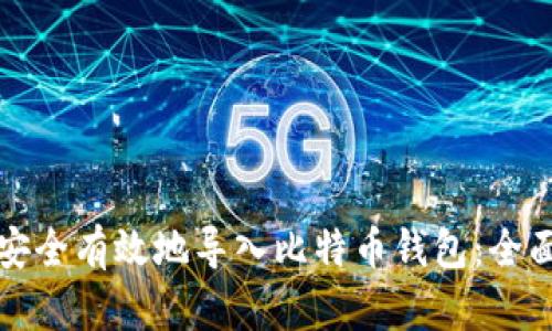 如何安全有效地导入比特币钱包:全面指南