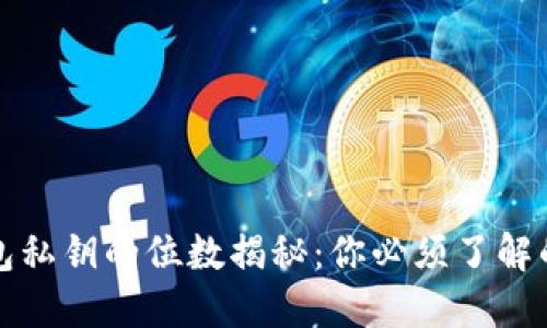 比特币钱包私钥的位数揭秘:你必须了解的安全知识