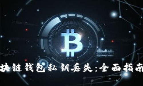 如何应对区块链钱包私钥丢失:全面指南与解决方案