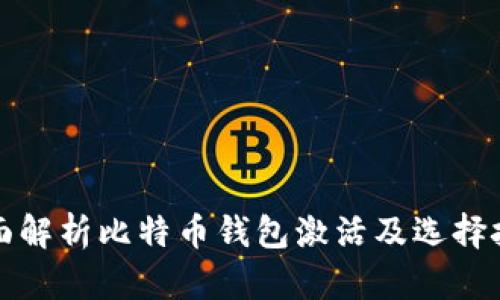 全面解析比特币钱包激活及选择技巧