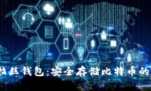 : 探索P拉丝钱包:安全存储比特币的最佳选择