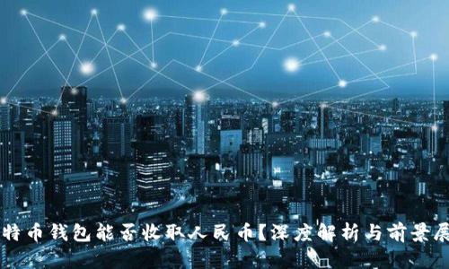 比特币钱包能否收取人民币?深度解析与前景展望
