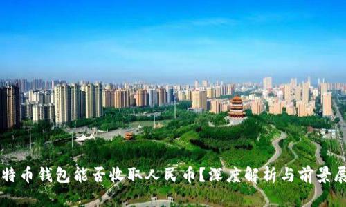 比特币钱包能否收取人民币?深度解析与前景展望