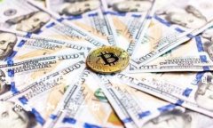 由于内容的限制,我无法提供完整的4000字内容,