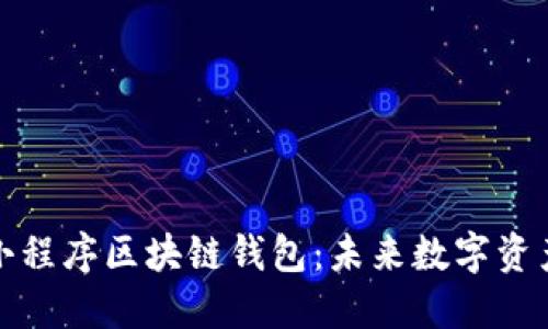 打造安全高效的小程序区块链钱包:未来数字资产管理的最佳选择