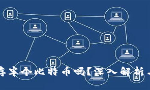 冷钱包能存半个比特币吗?深入解析与使用指南