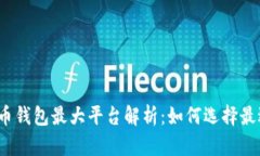 2023年比特币钱包最大平台解析:如何选择最适合