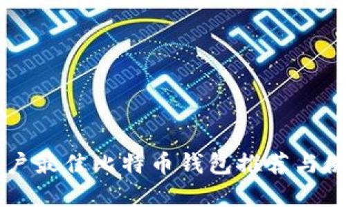 苹果用户最佳比特币钱包推荐与使用指南