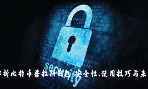 全面解析比特币普拉斯钱包:安全性、使用技巧与未来发展