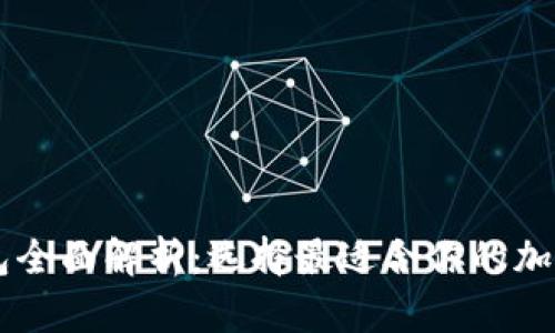 主流区块链钱包全面解析:选择最适合你的加密资产管理工具